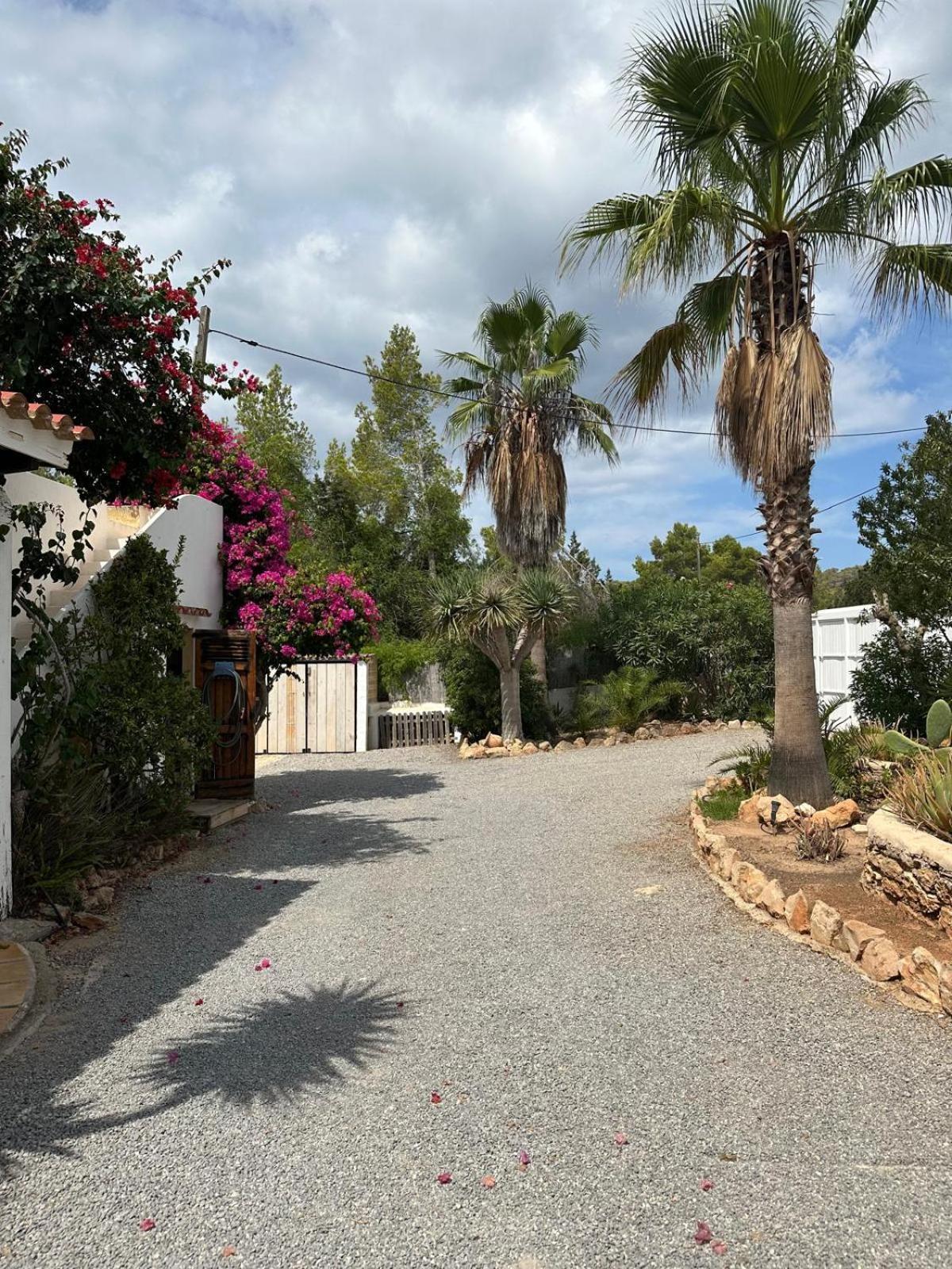 サンアントニオアバド Micasa Ibizaヴィラ エクステリア 写真