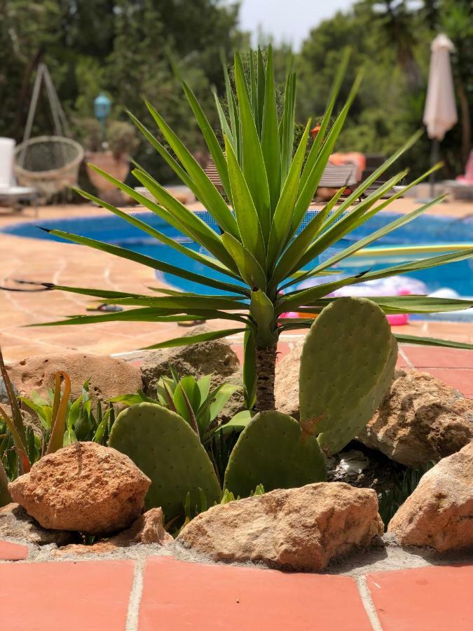 サンアントニオアバド Micasa Ibizaヴィラ エクステリア 写真